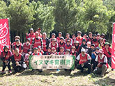 イヌマキの育樹祭