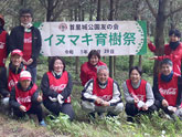 イヌマキの育樹祭
