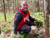 イヌマキの育樹祭